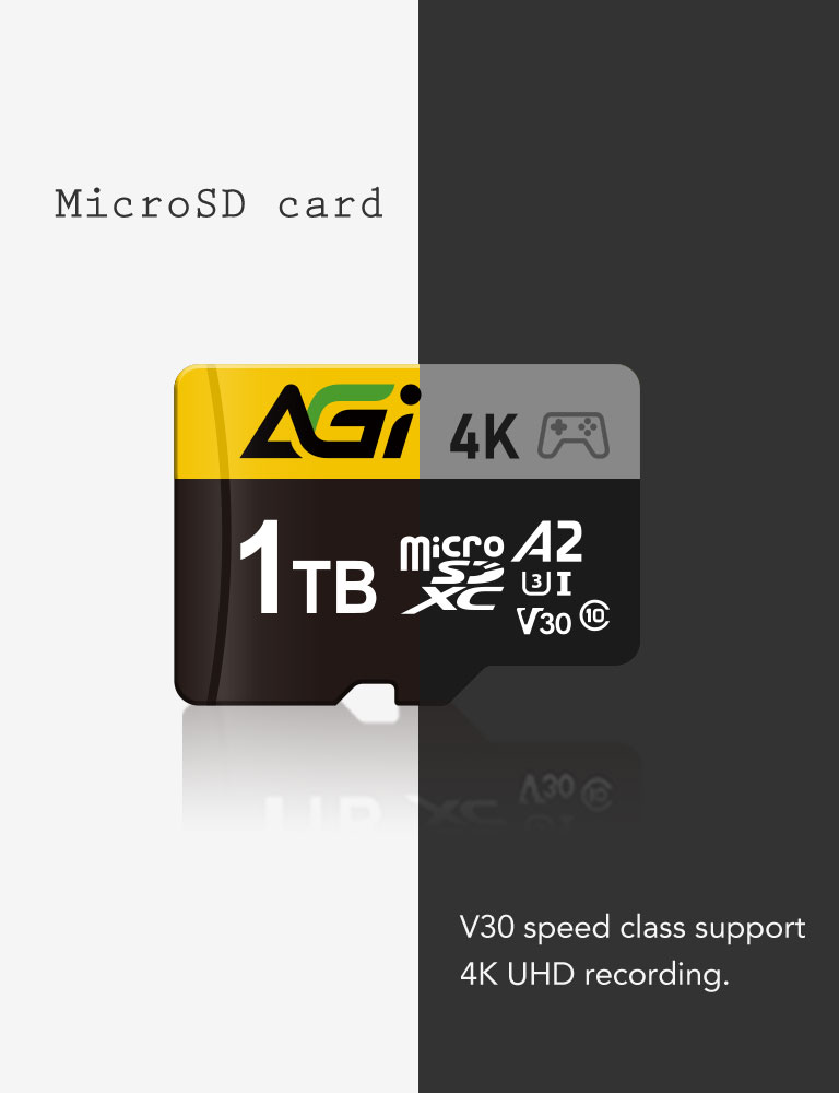 AGI 512GB TF138 MicroSDXC Memory Card C10 U3 V30 A2 Micro SD (R/W