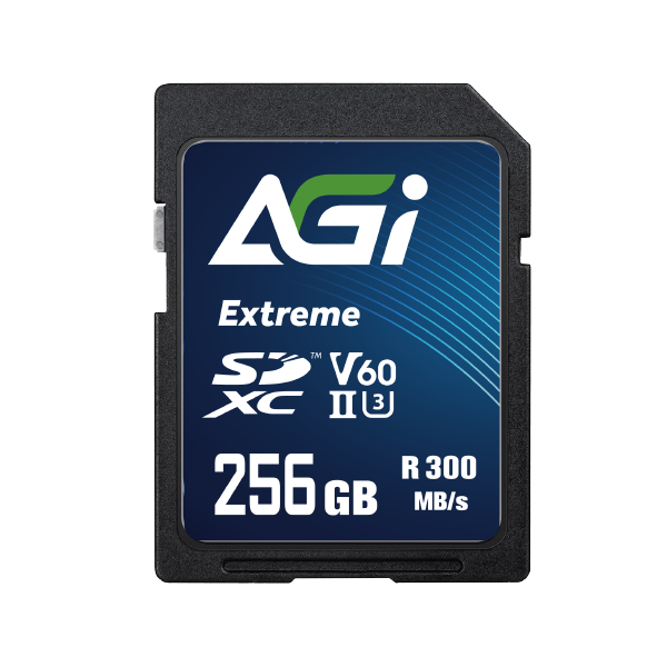 Extreme SE238 V60 SDXC Card