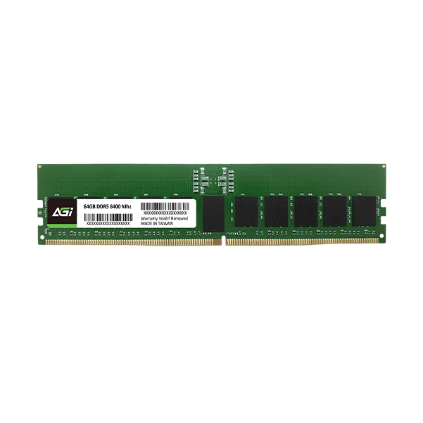 RD238 R-DIMM Memory Module